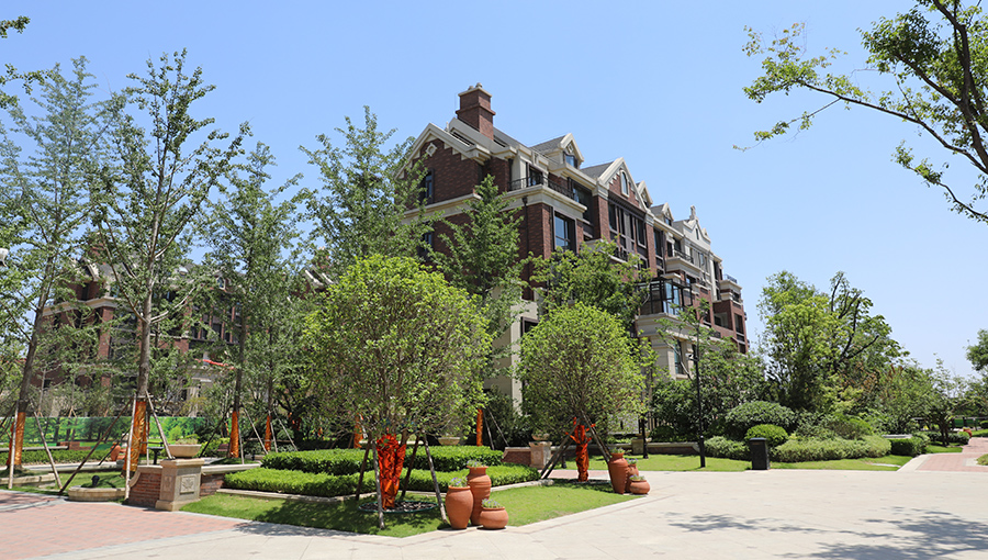 西湖东岸-7.jpg